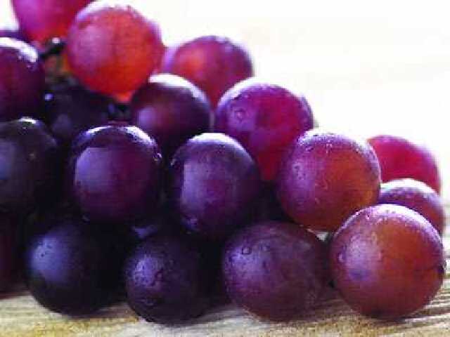 2018滨海新区特产大全_滨海新区有什么特产_