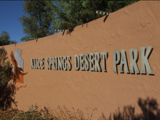 艾丽丝泉沙漠公园