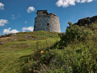 卡尔顿马特罗塔