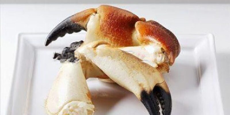 石蟹钳_佛罗里达省特色美食_佛罗里达省小吃_途牛