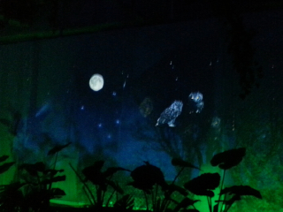 上海风洞体验中心