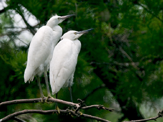 滁州皇甫山国家森林公园