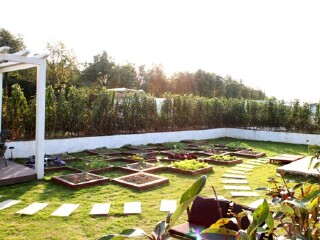 中穗菲尼克斯庄园