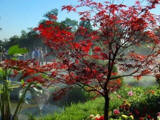 凤凰岭科烨隆休闲度假园