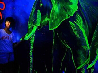 上海幻觉森林3D魔幻馆（金山店）