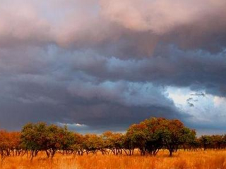 兴隆山黄榆景区