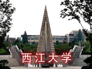 首尔西江大学