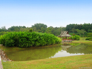 拜罗伊特大学生态植物园