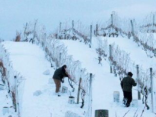 东部半岛省级公园