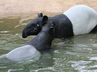 杭州野生动物世界