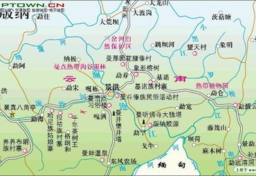 景洪市行政区划图图片
