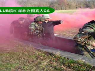 浦东高桥滨江森林公园