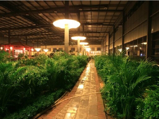 巴厘岛温泉会馆