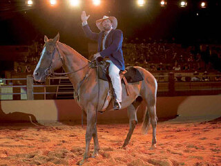 黄金海岸室内牛仔show《澳野奇观》