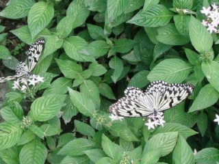 富源森林游乐区