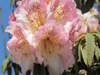 沾益县珠江源风景区