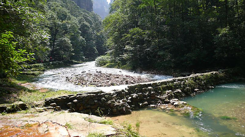 金鞭溪峡谷