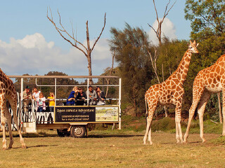 华勒比开放式动物园