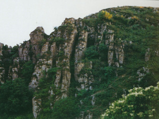 阜新蒙古族自治县