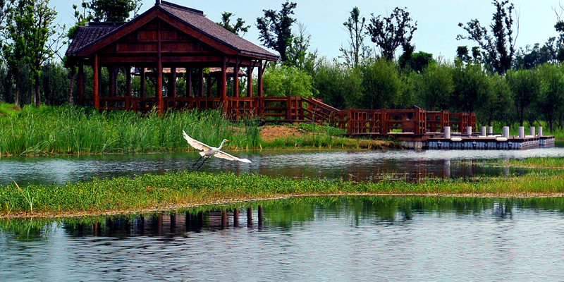 徽县太湖公园图片