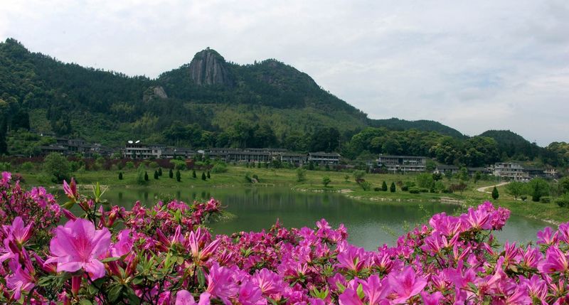 福州旗山公园恢复营业图片