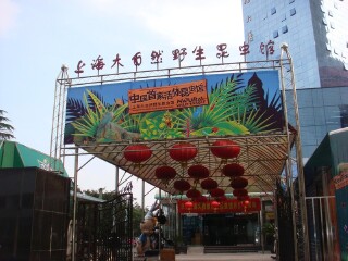 大自然野生昆虫馆