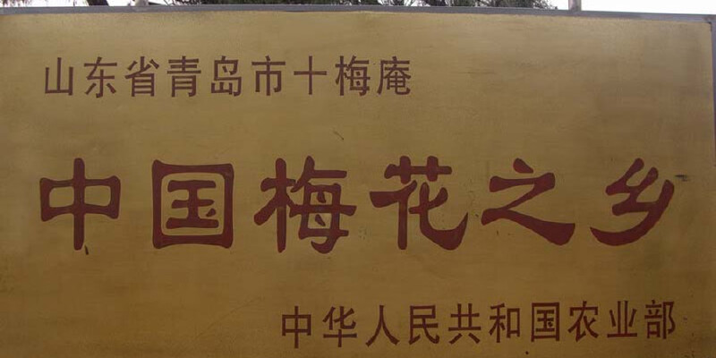 产品图3
