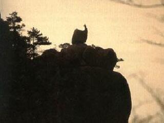 天鹅孵蛋和仙剖岩