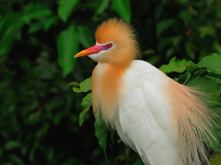 鼎翔生态旅游区
