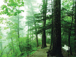 龙苍沟森林公园