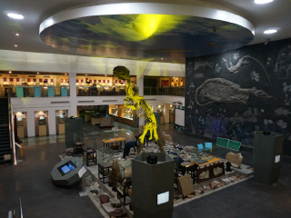 上海东方地质科普馆