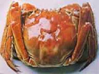 湖州长兴大唐贡茶院