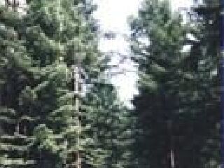 辽河源国家森林公园