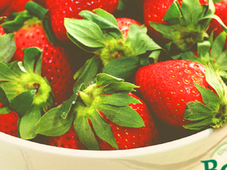 大熊家的草莓店