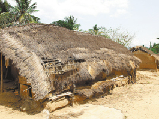 白查村船型茅草屋