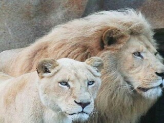 长沙生态动物园