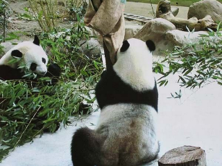 铁观音包种茶研发推广中心