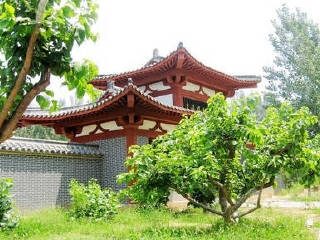 夏津黄河故道森林公园