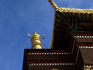 巴杰
