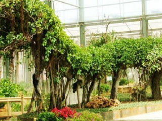 莱芜雪野农博园