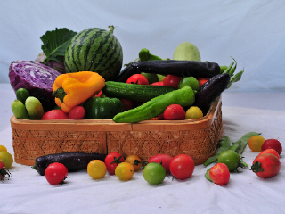 北京芦西园体验观光园