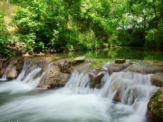 弗洛拉河自然公园