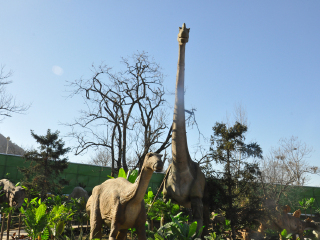 秦岭野生动物园