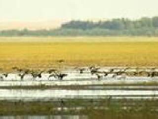 民勤连古城国家级自然保护区