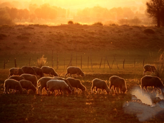 库图克台彻辰洪台吉墓