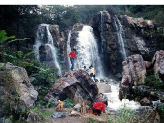 莽河猕猴自然保护区