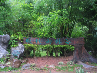 西双版纳雨林谷