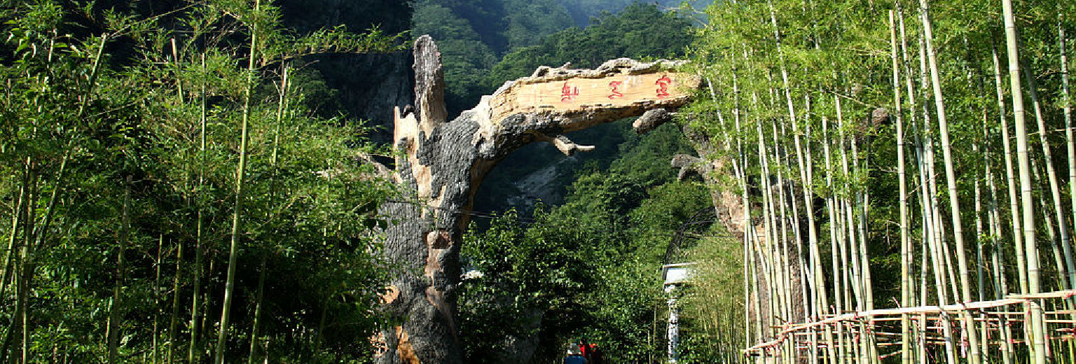 南召宝天曼旅游攻略