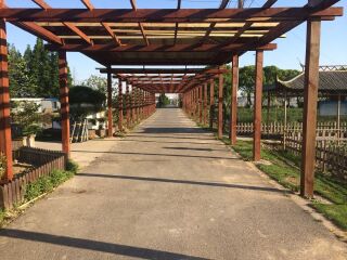 上海蓝莓文化体验园