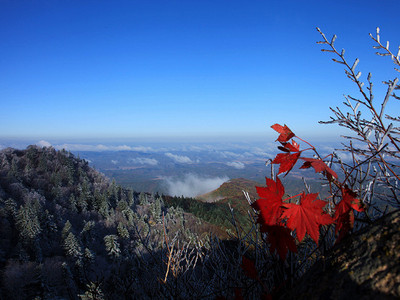 新宾岗山国家森林公园图片